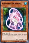 Edison Rulings for Chrysalis Dolphin